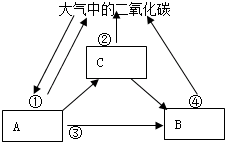 趁东风