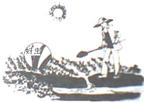 趁东风