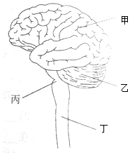 趁东风