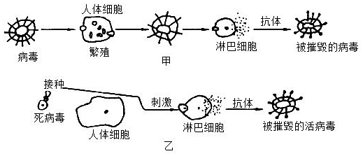 趁东风