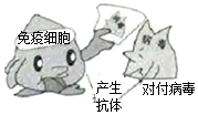 趁东风